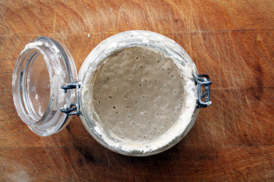 sourdough starter