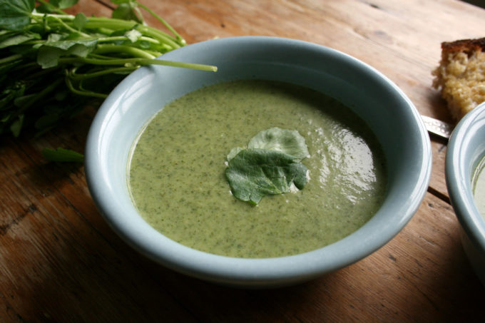 watercress and pea soup