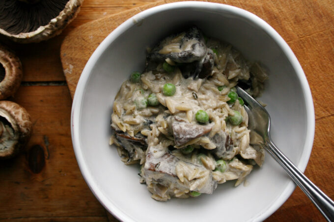 mushroom orzotto