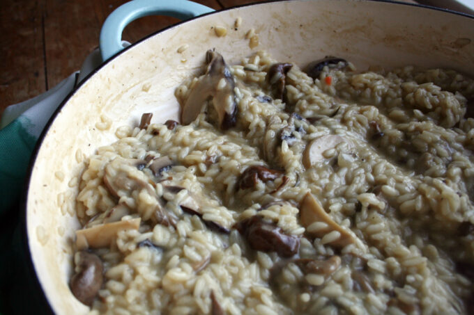 wild mushroom risotto